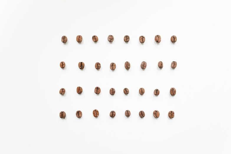 coffee beans arranged in a circle on a white surface, an album cover, by Jan Kupecký, trending on unsplash, generative art, ffffound, many cryogenic pods, lined up horizontally, squares