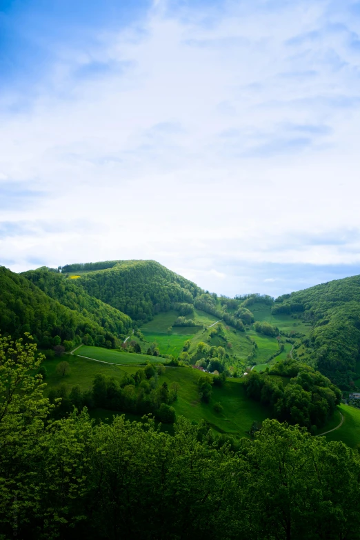 a herd of sheep grazing on a lush green hillside, by Franz Hegi, pexels contest winner, les nabis, detmold, panorama distant view, canyon, today\'s featured photograph 4k