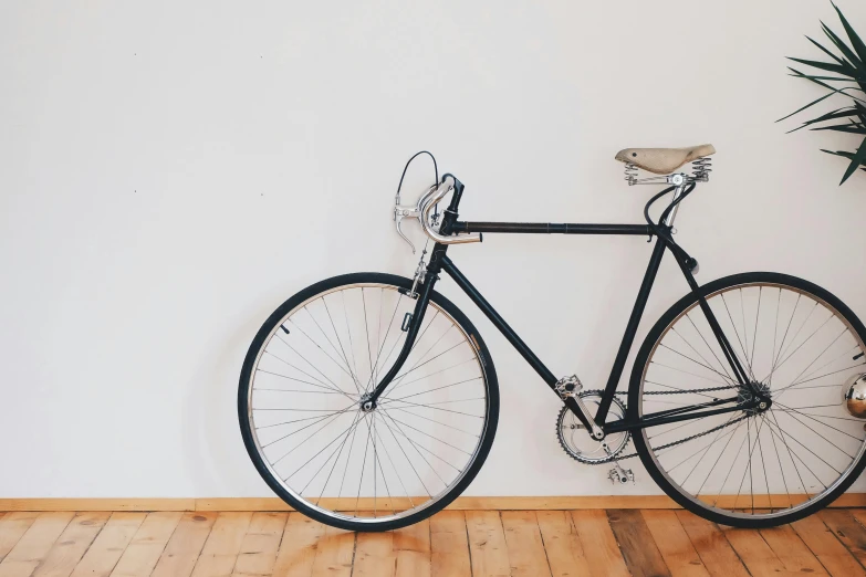 a bicycle leaning against a wall next to a potted plant, pexels contest winner, minimalism, indoor, background image, aerodynamic frame, with gears and tubes