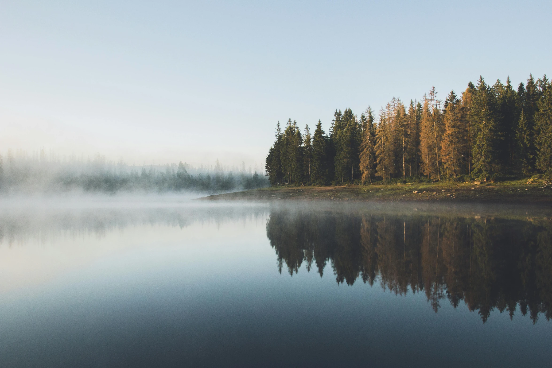 a body of water surrounded by trees on a foggy day, by Sebastian Spreng, spruce trees on the sides, minna sundberg, ryan dyar, water reservoir