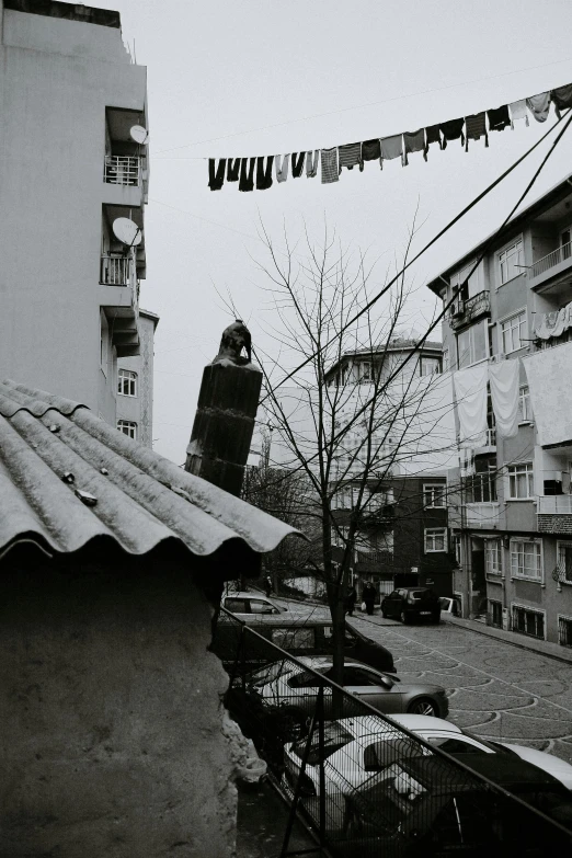 a man standing on top of a roof next to a building, a black and white photo, street art, laundry hanging, istanbul, today\'s featured photograph 4k, rainy; 90's photograph