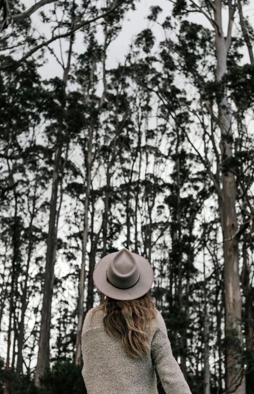 a woman in a hat is walking through the woods, by Winona Nelson, unsplash contest winner, in australia, towering over your view, moody sky at the back, low quality photo