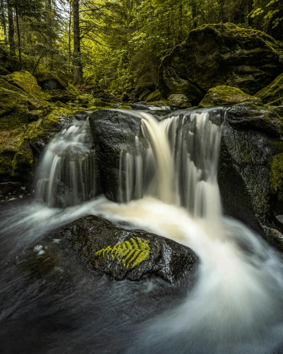 a waterfall flowing through a lush green forest, an album cover, pexels contest winner, northern finland, fan favorite, sandfalls, 8k photo