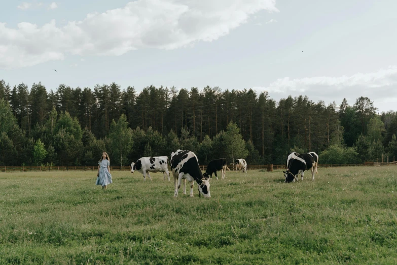 a herd of cows grazing on a lush green field, by Emma Andijewska, unsplash contest winner, people on a picnic, northern finland, 000 — википедия, still from a live action movie