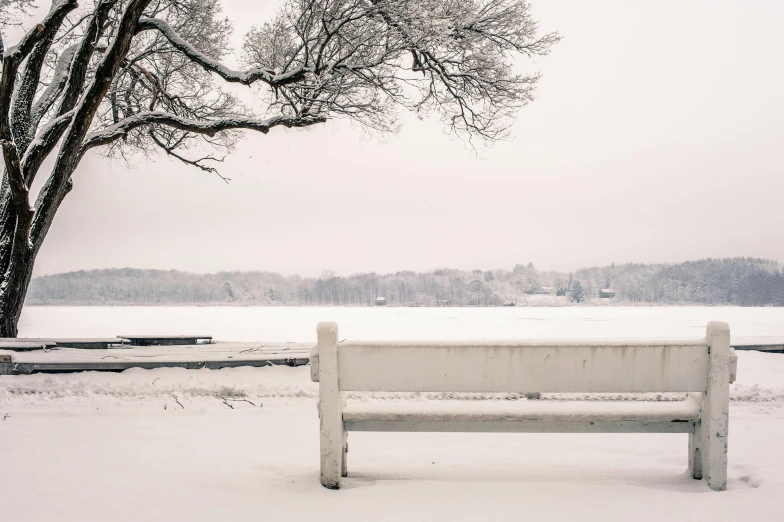 a white bench sitting in the snow next to a tree, inspired by Eero Snellman, unsplash contest winner, lake view, white sky, grey, plows