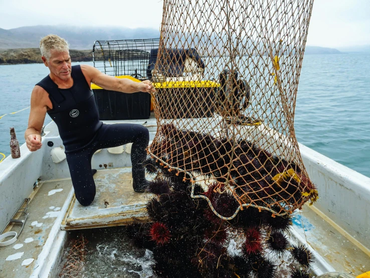 a man standing on top of a boat holding a net, kelp, ferrofluid oceans, as well as scratches, bonnie maclean