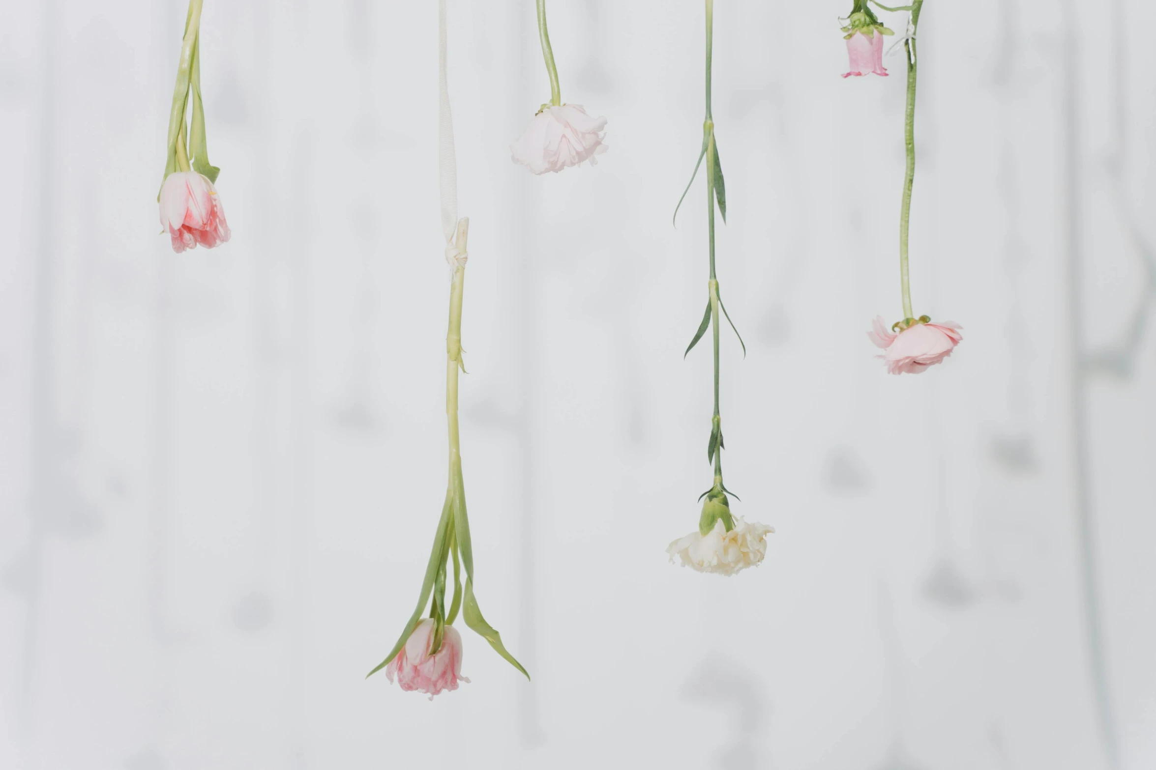 a bunch of flowers hanging from a string, inspired by Cerith Wyn Evans, trending on unsplash, neo-romanticism, delicate patterned, carnation, floating in mist, backdrop