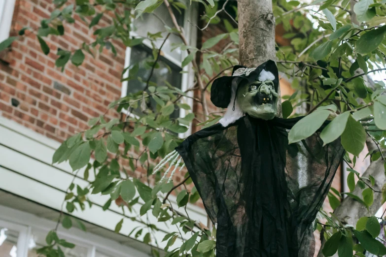 a halloween decoration hanging from a tree in front of a house, pexels, green dress with a black hood, profile image, screeching, exterior photo