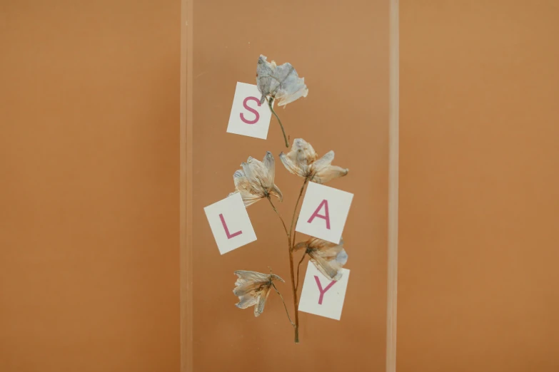 a vase that has some flowers inside of it, an album cover, by Peter Alexander Hay, unsplash, temporary art, letter s, slay, joy ang, laying down