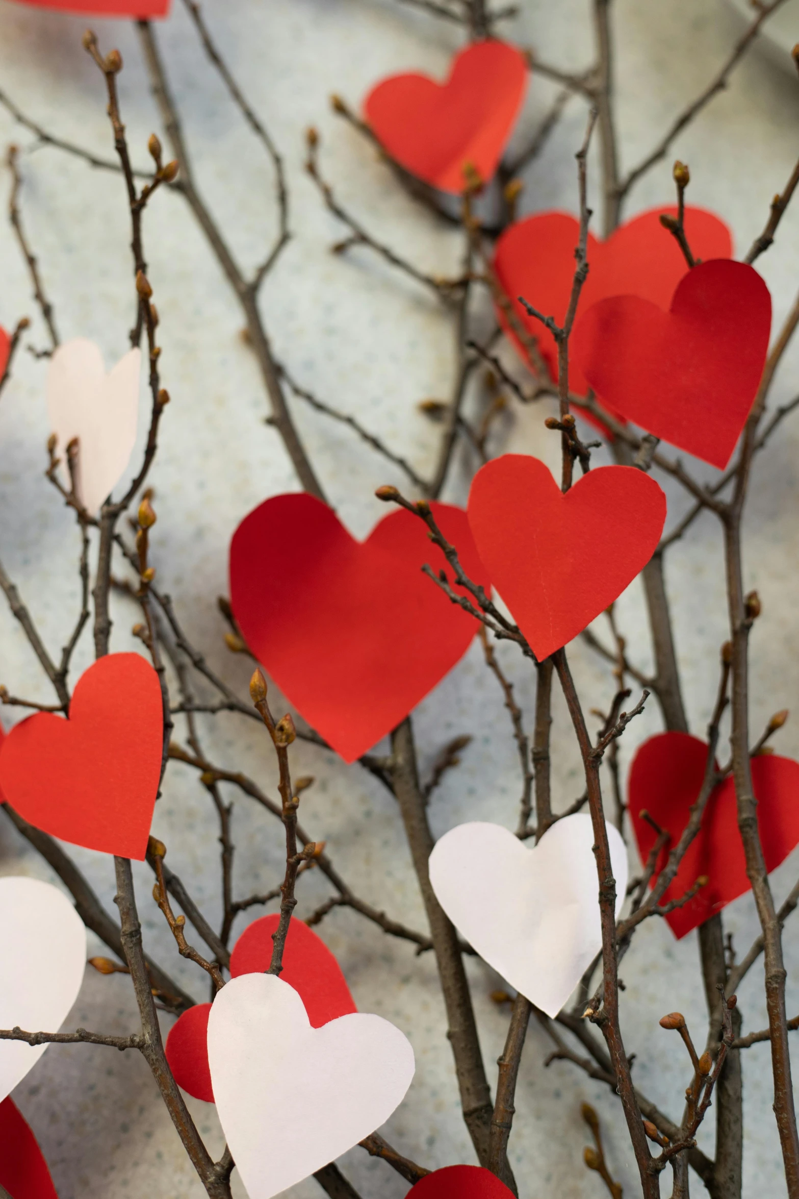 a bunch of paper hearts hanging from a tree, inspired by Valentine Hugo, branches and twigs, large, stems, close