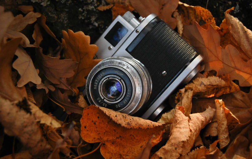 a camera sitting on top of a pile of leaves, slide show, medium format, photography], phograph