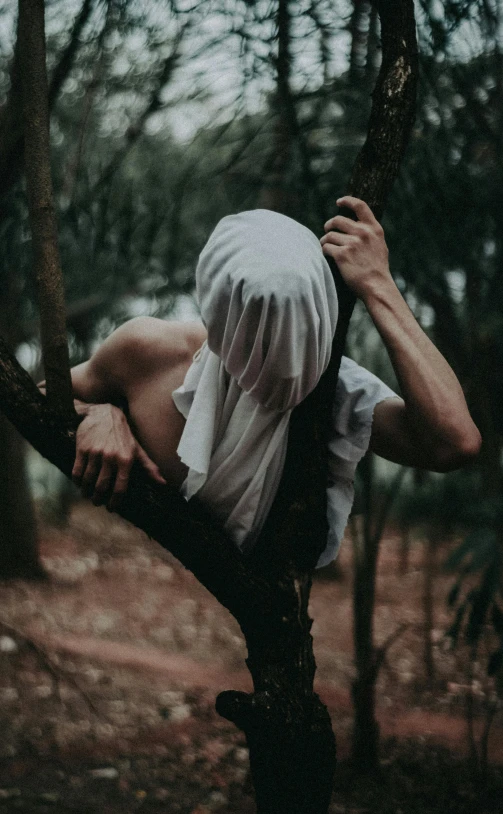 a man sitting on top of a tree branch, an album cover, inspired by Elsa Bleda, unsplash contest winner, surrealism, white man with black fabric mask, ripped up white garment, twisted god with no face, haunted forest