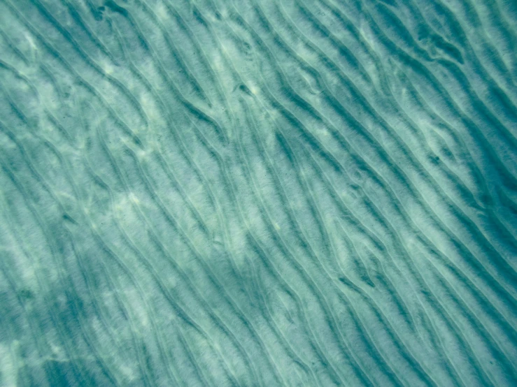 a person on a surfboard in the water, a microscopic photo, inspired by Vija Celmins, unsplash, op art, flowing aqua silk, texture of sand, transparent corrugated glass, detail texture