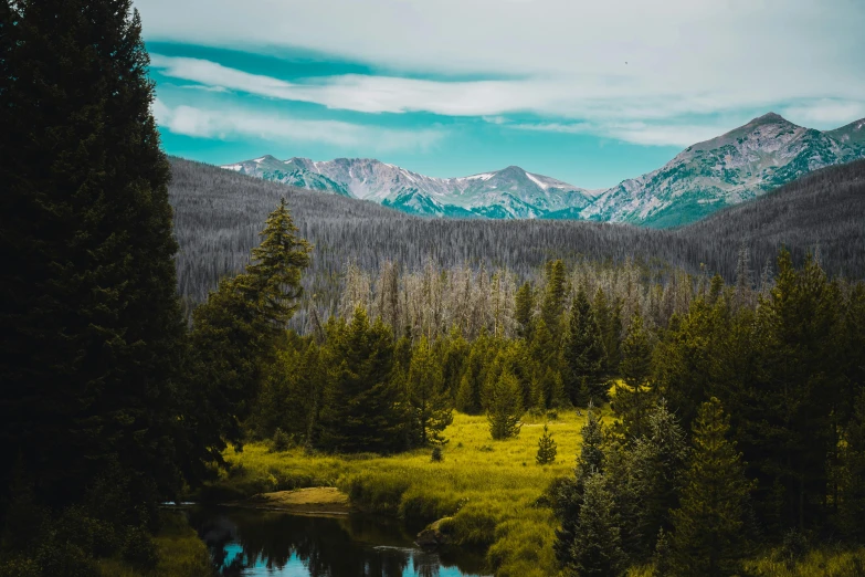 a river running through a lush green forest, by Emma Andijewska, pexels contest winner, colorado mountains, icy mountains in the background, pine forest, 2 0 0 0's photo