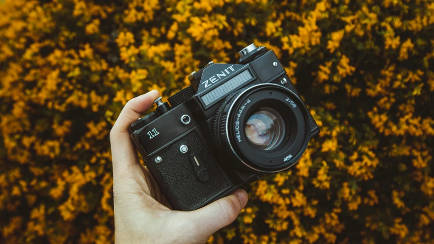 a person holding a camera in front of yellow flowers, a picture, by Sven Erixson, pexels contest winner, zeiss lenses, 1970s cinema camera, instagram post, aperture f 1. 2