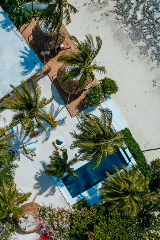 an aerial view of a pool surrounded by palm trees, by Sebastian Vrancx, beach setting, exterior