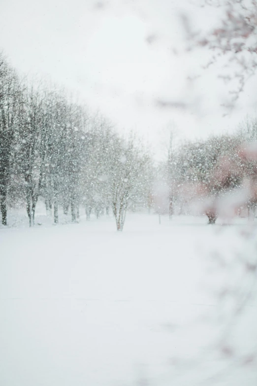 a red fire hydrant sitting in the middle of a snow covered park, a picture, inspired by Elsa Bleda, pexels contest winner, trees in foreground, in a white room, blurred, 4k)