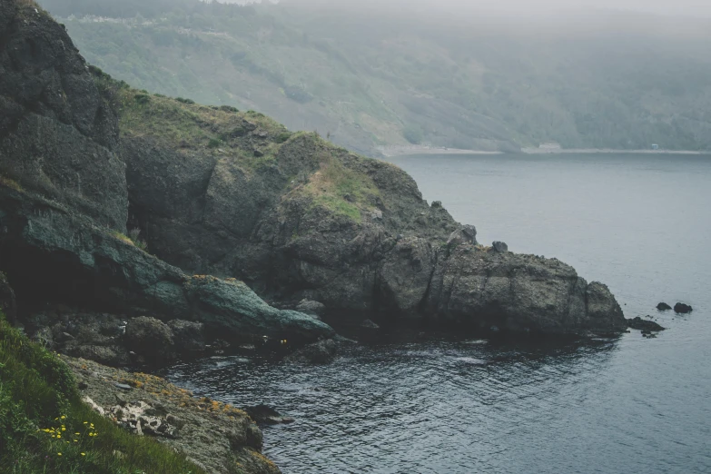 a couple of sheep standing on top of a lush green hillside, pexels contest winner, romanticism, dark foggy water, rocky coast, 2 5 6 x 2 5 6 pixels, grey