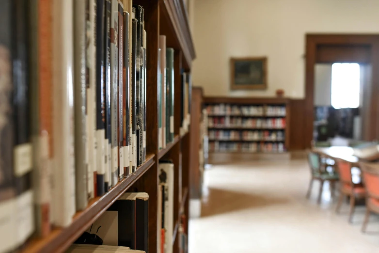 a bookshelf filled with lots of books in a library, unsplash, arts and crafts movement, stephen shore, adjacent hallways, distant - mid - shot, brown