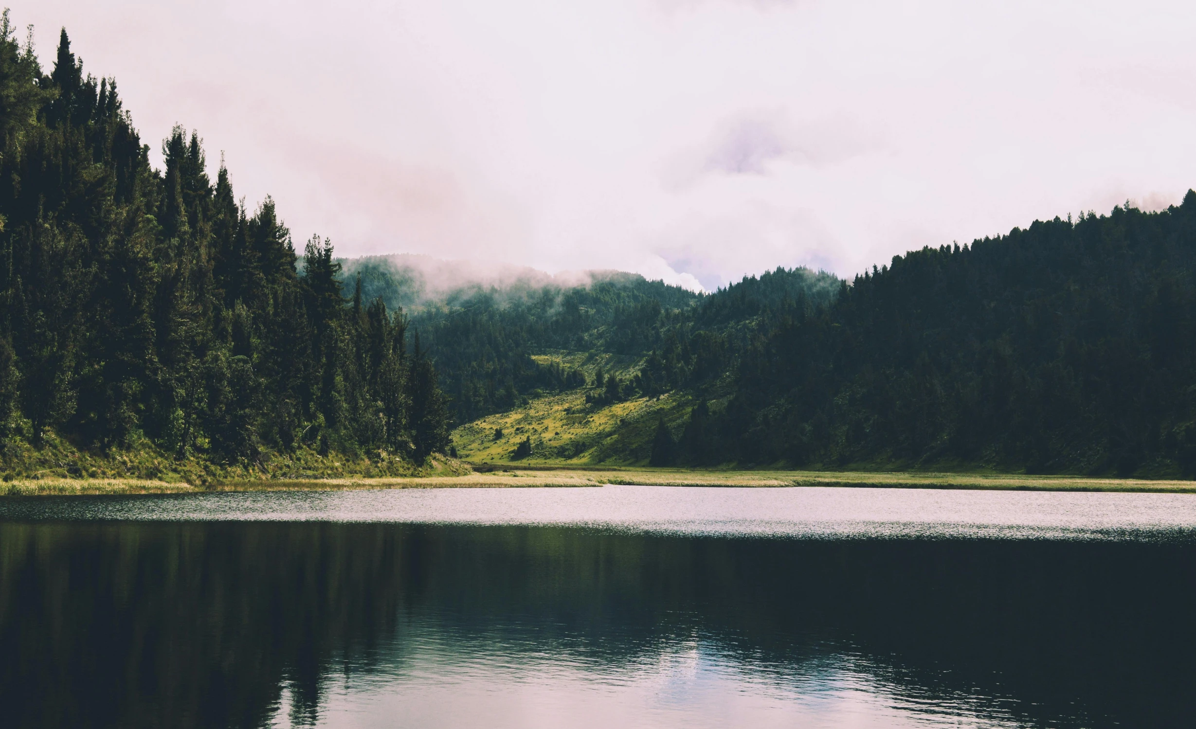 a large body of water surrounded by trees, by Karl Buesgen, pexels contest winner, overcast lake, evergreen valley, nostalgic feeling, music video