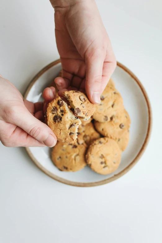 a person holding a plate of chocolate chip cookies, by Matthias Stom, unsplash, half turned around, soft, product introduction photo