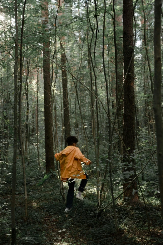a person riding a bike through a forest, facing away from the camera, running, boys, forested