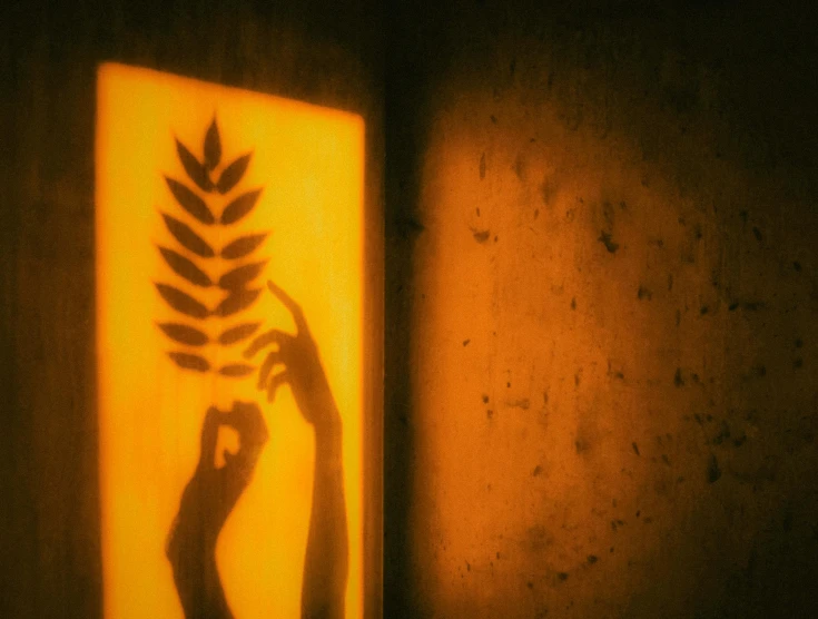 a shadow of a person holding a plant, by Lizzy Ansingh, symbolism, te pae, orange light, fern, stencil