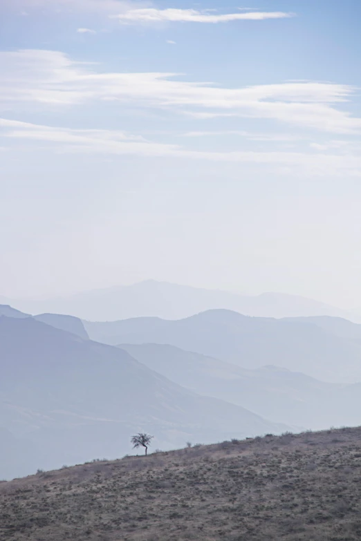 a lone giraffe standing on top of a hill, les nabis, very smoky, marbella landscape, lonely rider, samburu