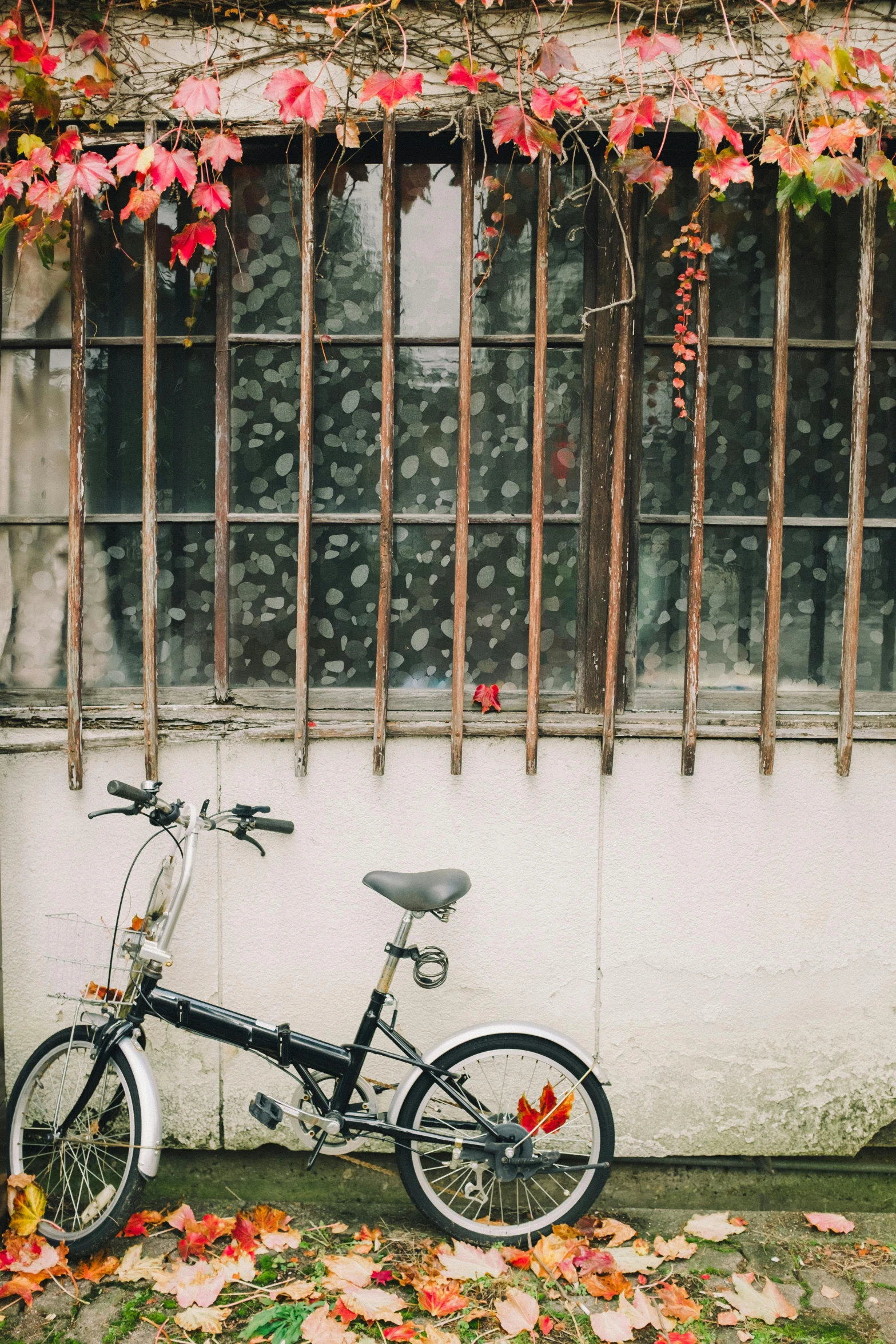 a bicycle is parked in front of a building, flowers and vines, alleyway, in fall, dreamy chinese town