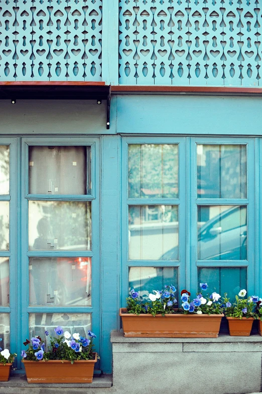 a red fire hydrant sitting in front of a blue building, by Elsa Bleda, trending on unsplash, art nouveau, window with flower box, light-blue, small hipster coffee shop, seen from outside