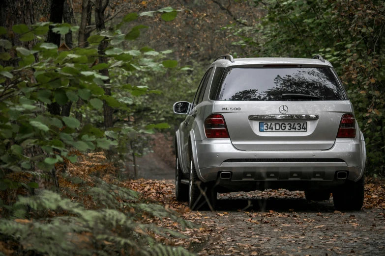 a silver mercedes suv parked in the woods, by Matthias Stom, unsplash, taken in the late 2000s, rear lighting, during autumn, 🚿🗝📝