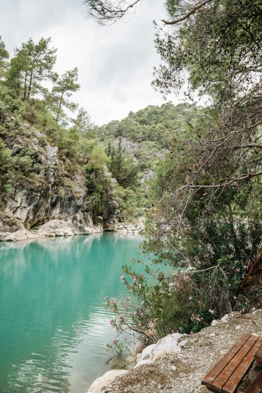 a wooden bench sitting next to a body of water, by Muggur, les nabis, turquoise, in between a gorge, pine forests, limestone