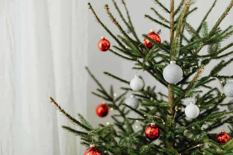 a small christmas tree with red and white ornaments, by Julia Pishtar, pexels, grey, bottom angle, maritime pine, full product shot