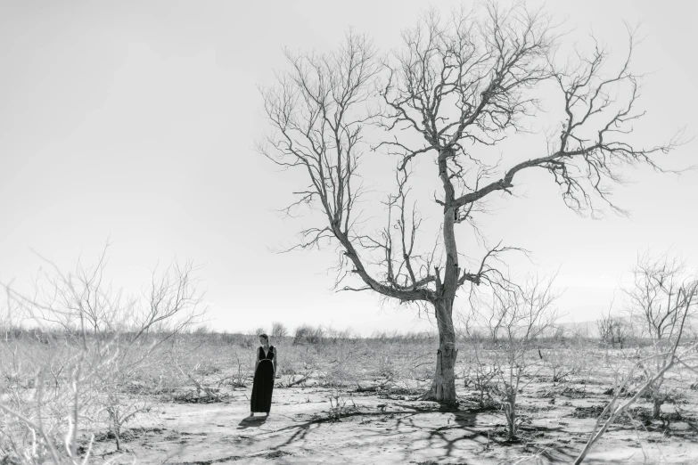 a black and white photo of a bare tree, a black and white photo, unsplash contest winner, conceptual art, woman in black robes, alec soth : : love, desolate empty wasteland, scorched earth