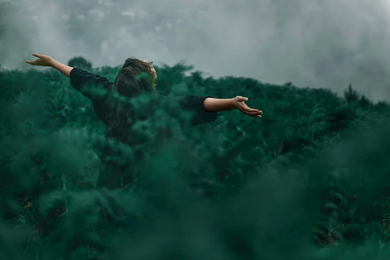 a person standing in a field with their arms outstretched, by Emma Andijewska, pexels contest winner, visual art, black and green, amongst foliage, floating away, plain background