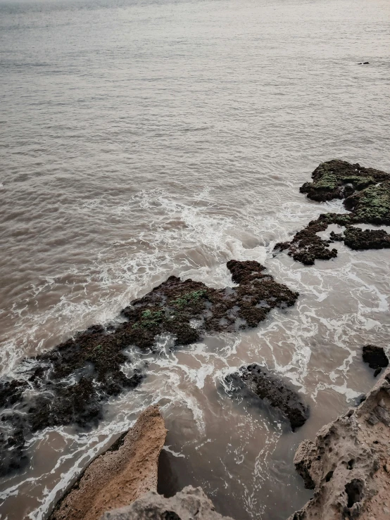 a man standing on top of a rocky beach next to the ocean, an album cover, by Elsa Bleda, unsplash, happening, muddy embankment, close-up from above, brown water, algae