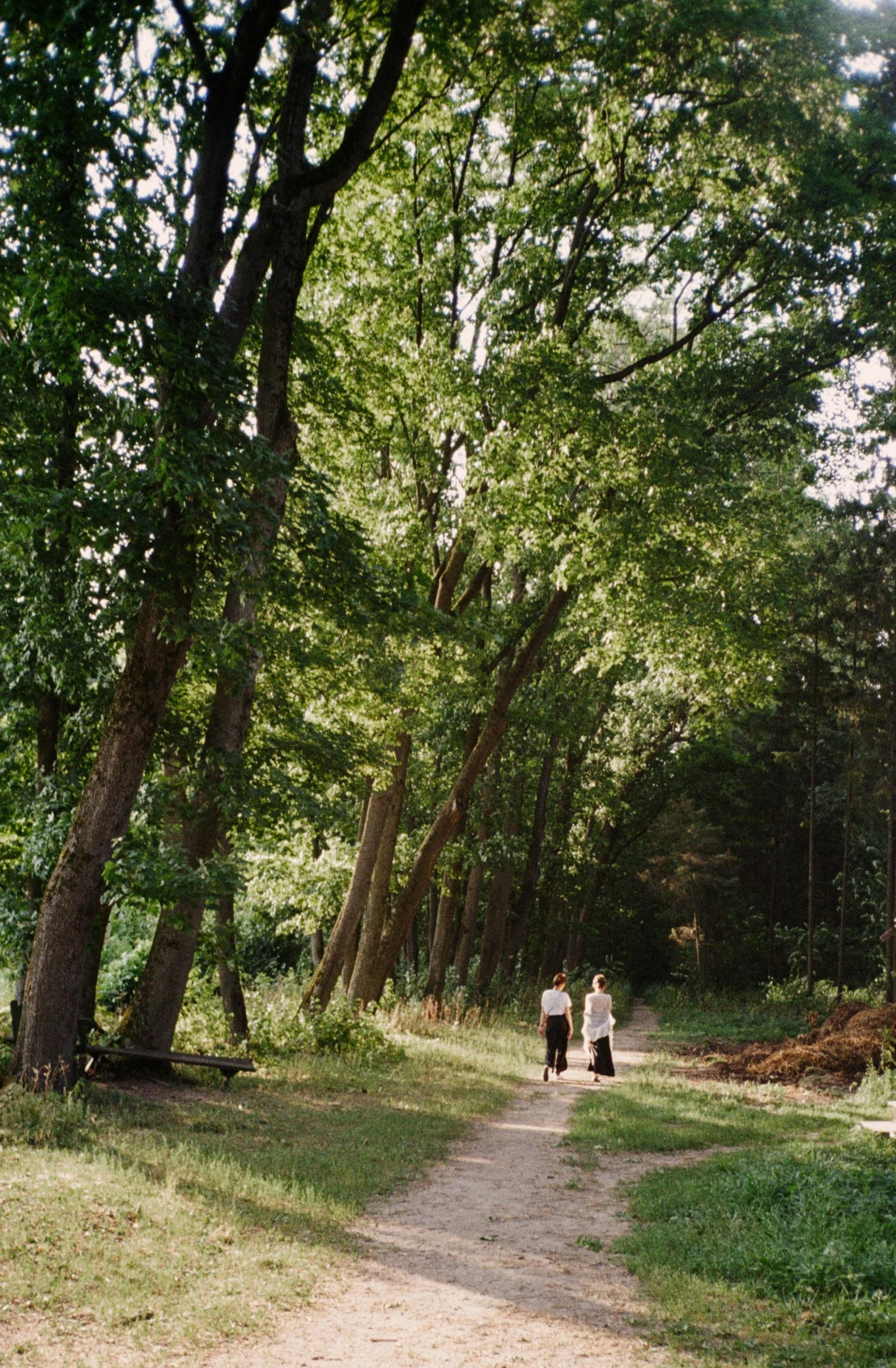 a couple of people walking down a dirt road, a picture, inspired by Béni Ferenczy, renaissance, kodak portra 400 film, forest picnic, panorama, ((forest))