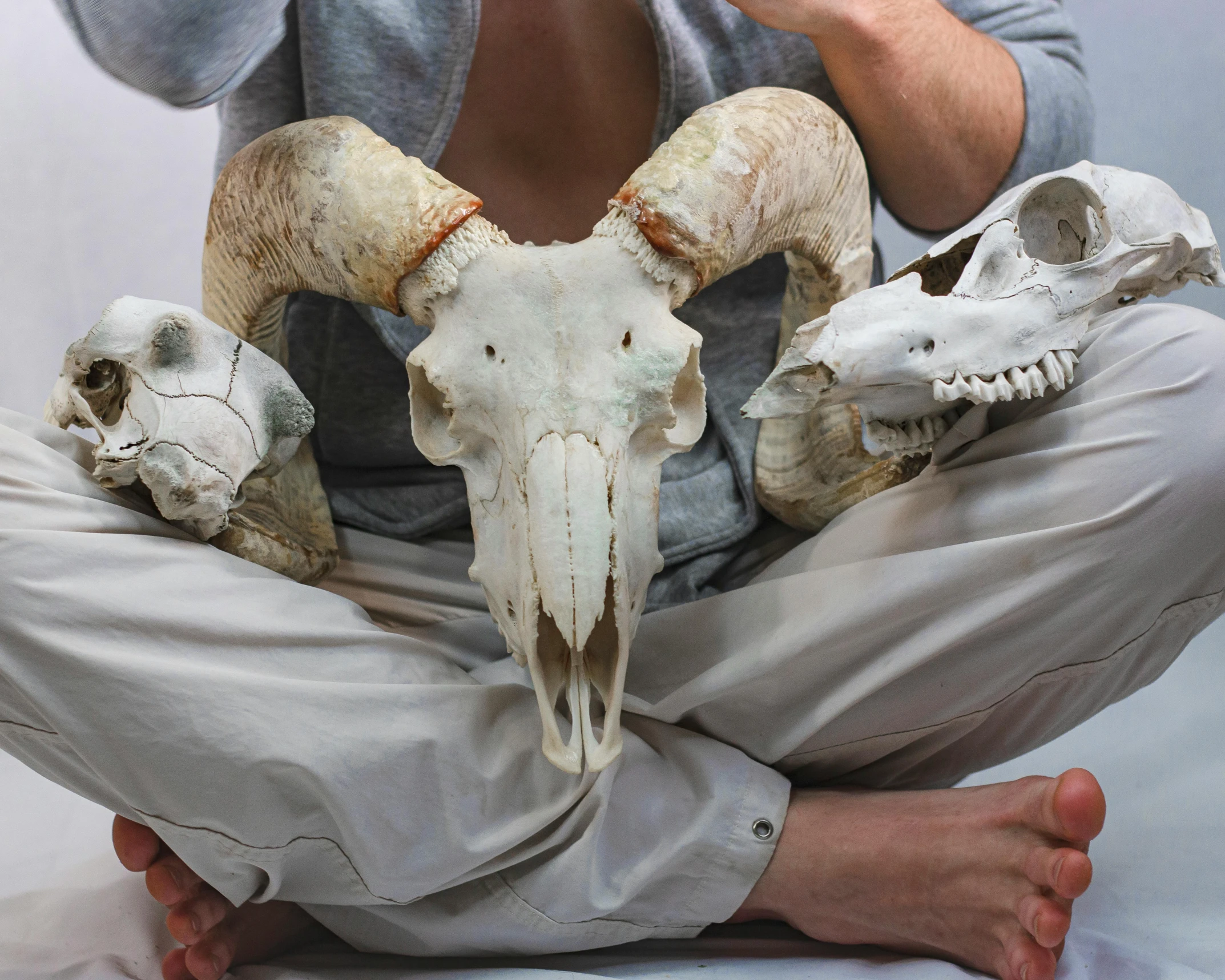 a man sitting on a bed holding a cell phone to his ear, an album cover, inspired by Sarah Lucas, trending on unsplash, hyperrealism, animal skulls, ram skulls, tooth wu : : quixel megascans, he has goat man legs