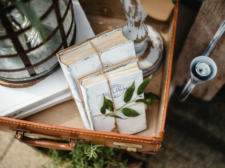 a suitcase filled with books sitting on top of a table, a still life, by Helen Stevenson, unsplash, private press, al fresco, botanical herbarium paper, pair of keycards on table, detail shot