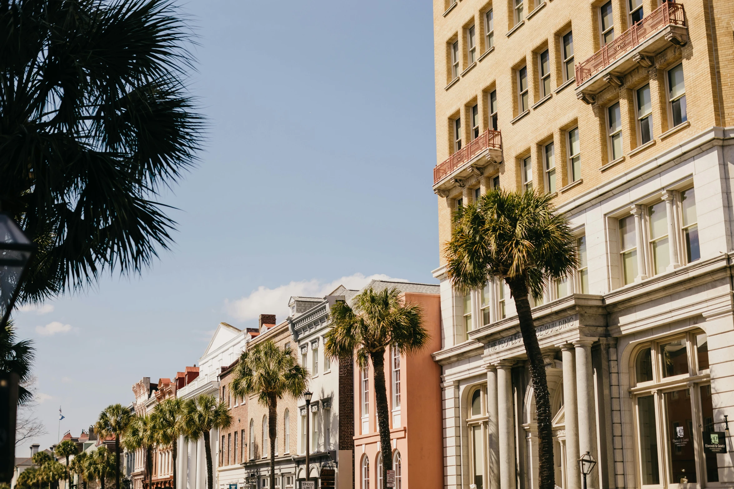 a city street lined with tall buildings and palm trees, in savannah, pastel hues, sunny day, unsplash photography