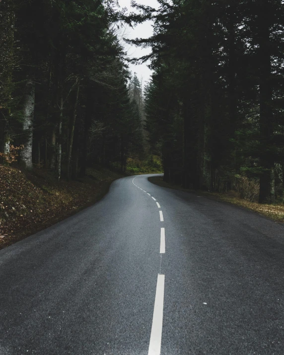 an empty road in the middle of a forest, slightly smiling, soft vinyl, lgbtq, black forest