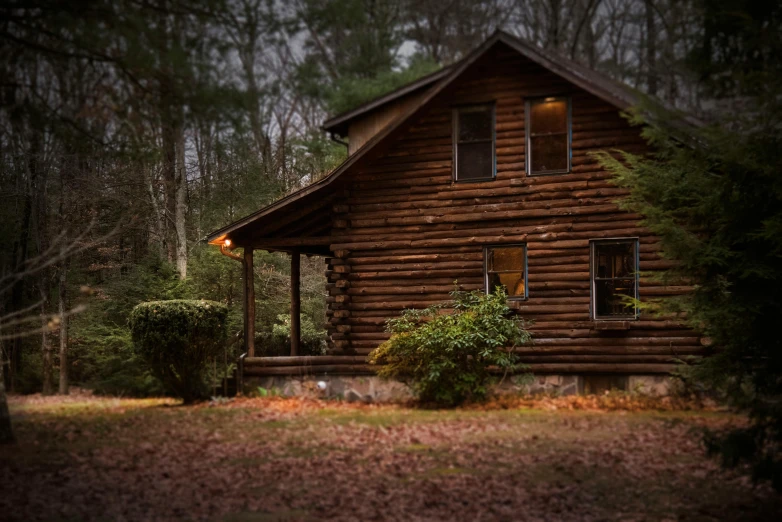 a log cabin sitting in the middle of a forest, inspired by Gregory Crewdson, pexels contest winner, renaissance, front lit, brown, profile pic, sweet home