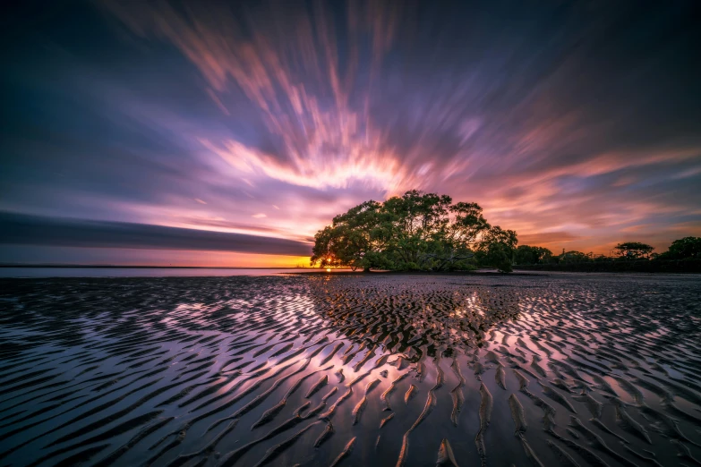 a tree sitting on top of a sandy beach, by Andrew Geddes, unsplash contest winner, land art, mangrove trees, epic sunrise, swirling clouds, australia intricate