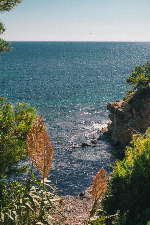 a view of the ocean from the top of a hill, in spain, trees and cliffs, manly, zoomed in