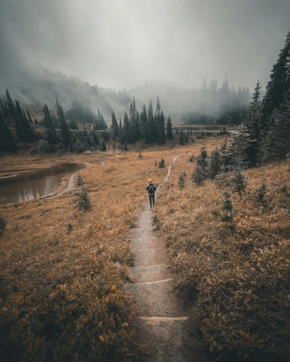 a person walking on a trail through a field, by Marshall Arisman, unsplash contest winner, whistler, in a rainy environment, in an epic valley, fall season