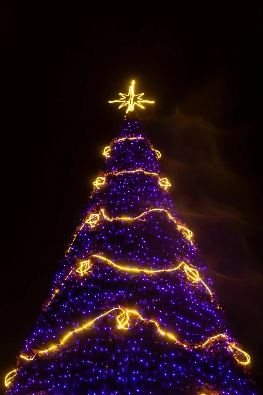 a large christmas tree is lit up at night, by Gavin Nolan, purple and yellow, 8k detail, octa 8k, f / 2