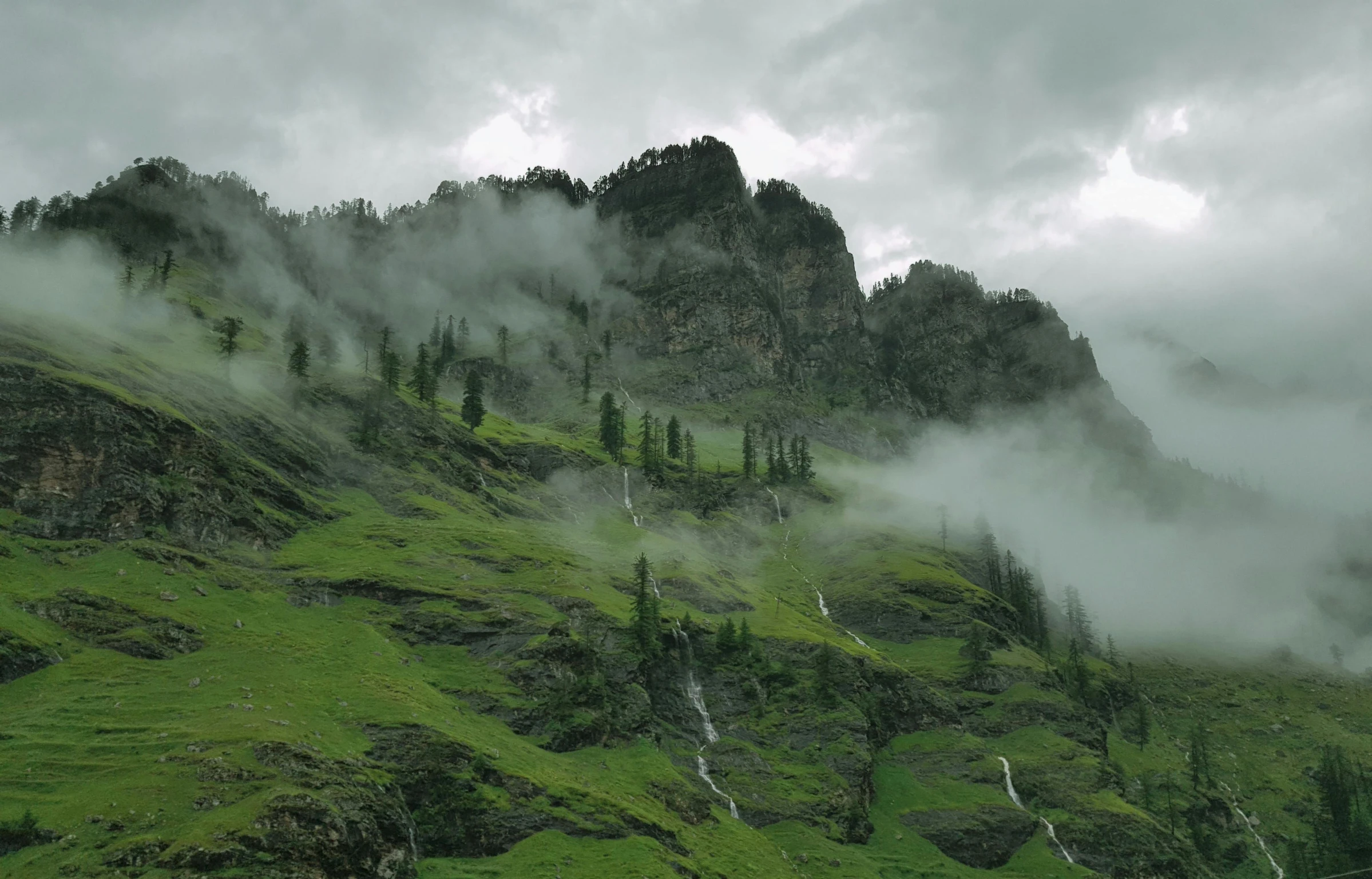 a herd of cattle grazing on top of a lush green hillside, a matte painting, pexels contest winner, hurufiyya, waterfall. fog, grey, himalayas, low angle 8k hd nature photo
