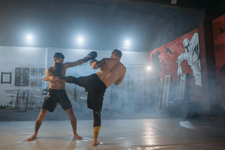 a couple of men standing on top of a cement floor, kickboxing, profile image, in a dojo, ultimate fighting championship