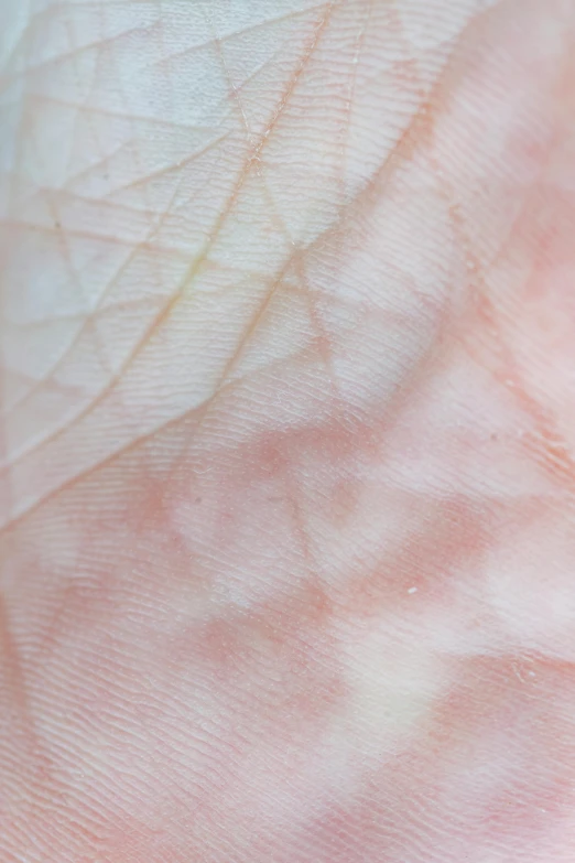 a close up of a person's hand with a ring on it, an ultrafine detailed painting, by Adam Marczyński, renaissance, soft translucent fabric folds, faded pink, looks like varicose veins, square lines