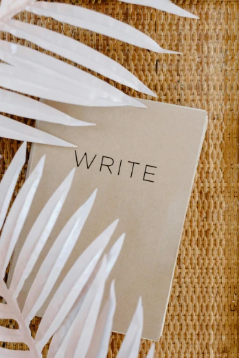 a piece of paper with the words write on it, an album cover, by Nicolette Macnamara, unsplash, palm lines, white vase, tan, event